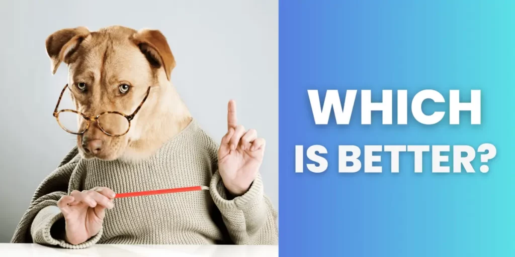 Staff Augmentation Vs Consulting: Find What is Right for You!